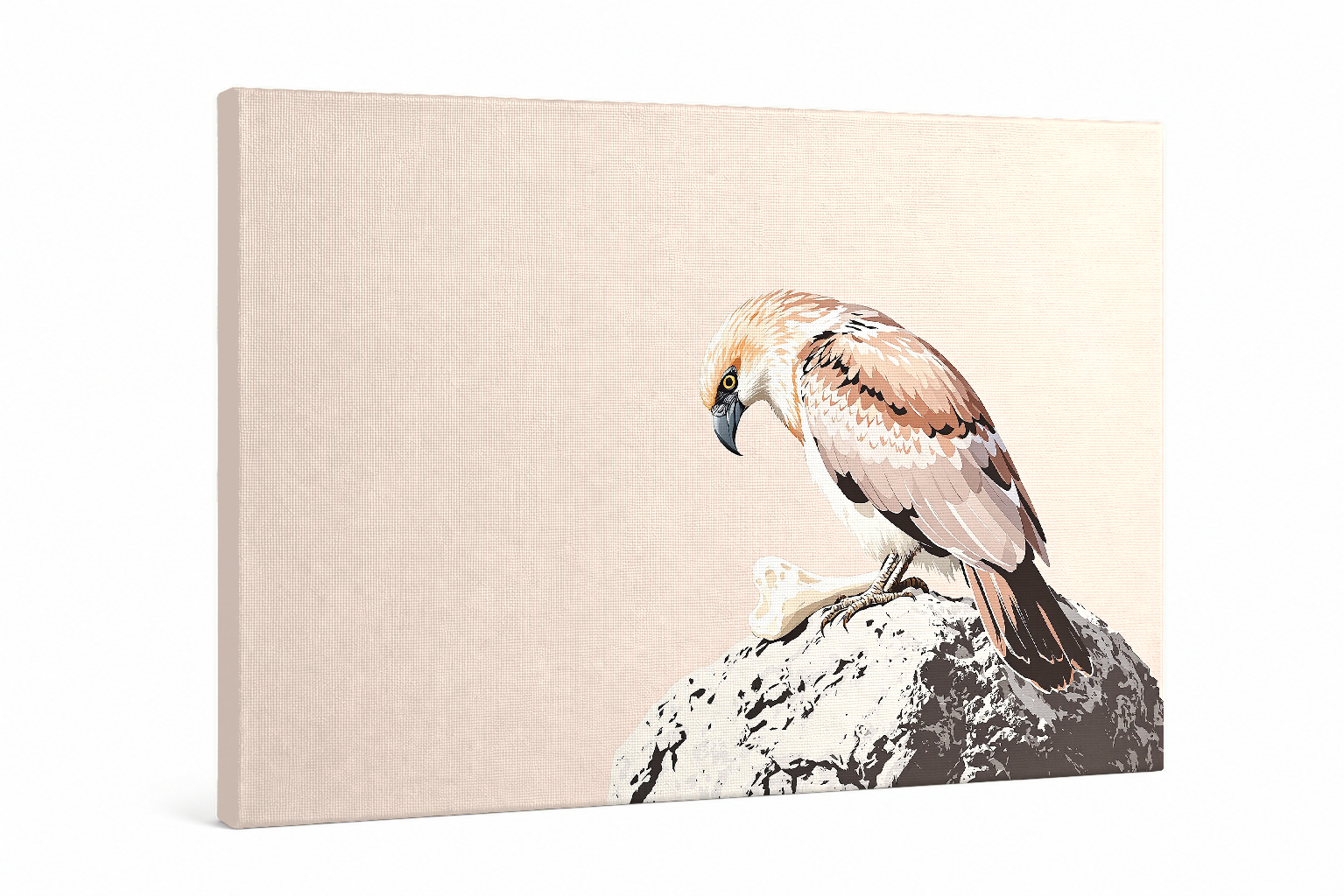 Caracara del Alba — Serigrafía en Blush