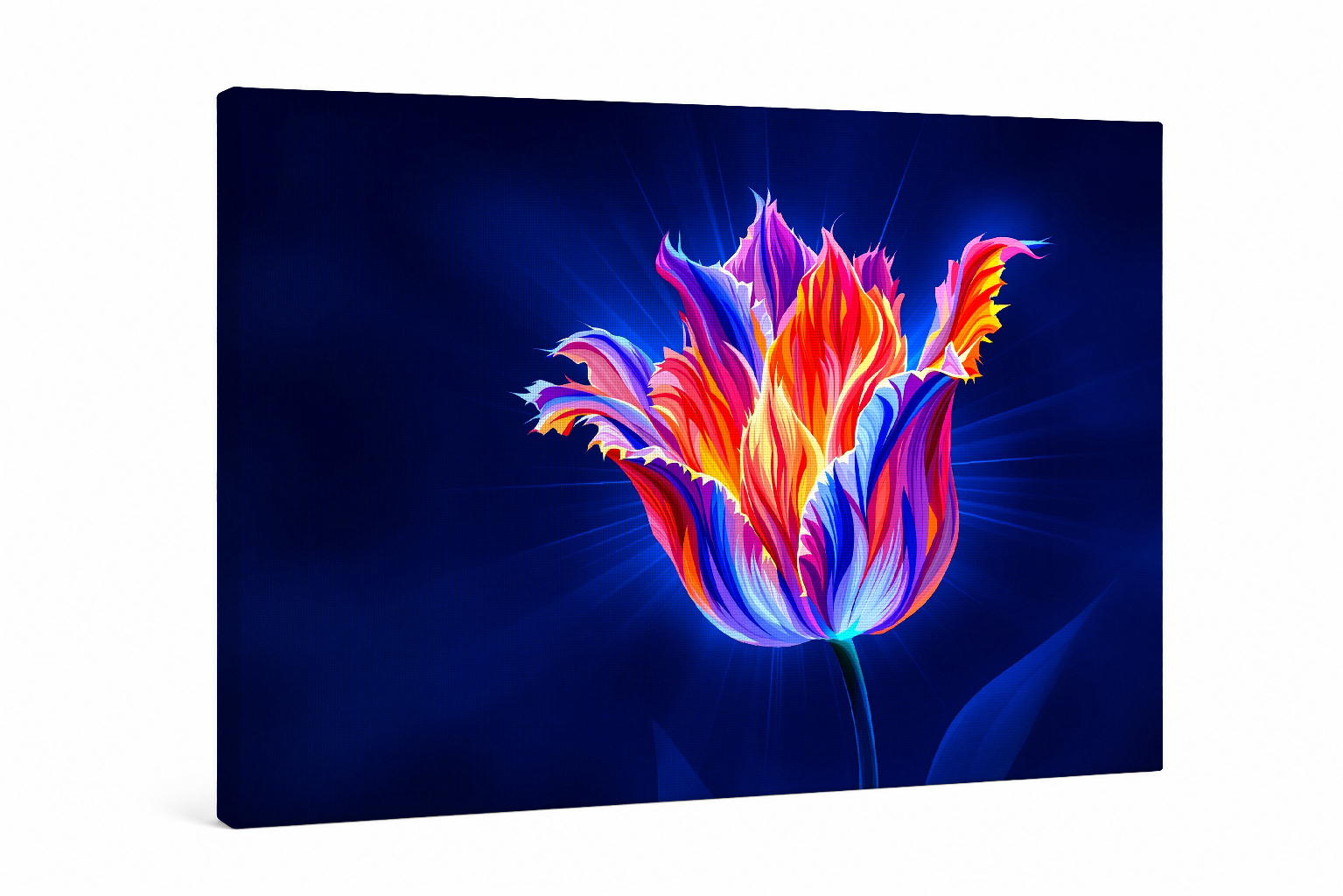 Tulipán Nocturno Azul