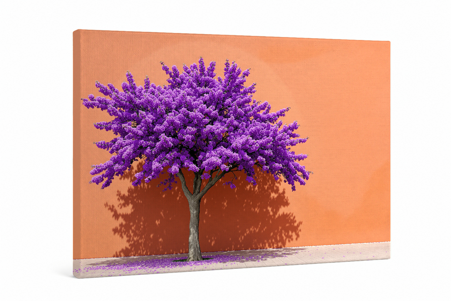 Jacarandá en Llamas Violeta