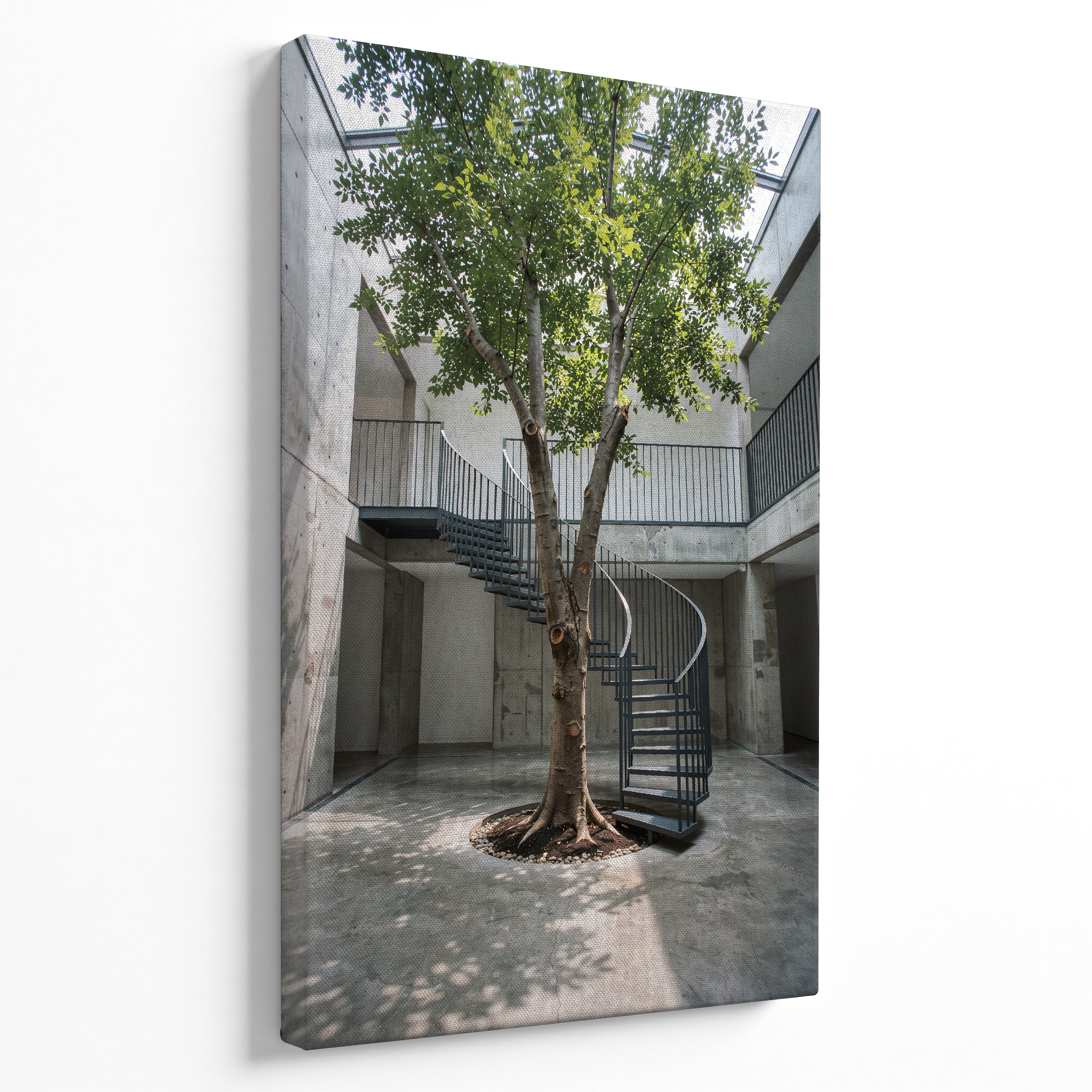 Árbol del Atrio